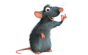 ratatouille 0 uhlu